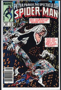 The Spectacular Spider-Man #90 (1984) Spider-Man