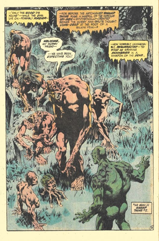 DC SPECIAL SERIES #20 (Jan1980) 8.0 VF  Wein & Wrightson!  Reprints SWAMPY 8-10