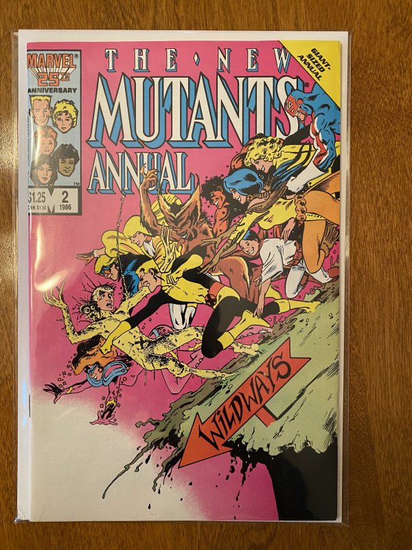 The New Mutants Annual #2 (1986)