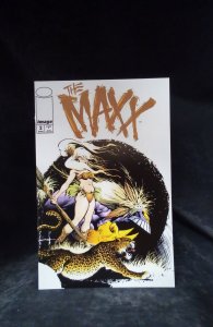 The Maxx: Maxximized #2 Variant Cover (2013)