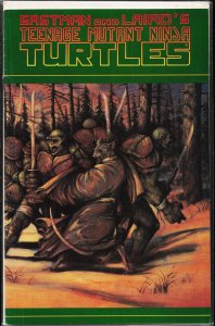 Teenage Mutant Ninja Turtles #31 (1990)