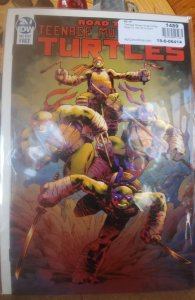 Teenage Mutant Ninja Turtles: Road To 100 (2019)