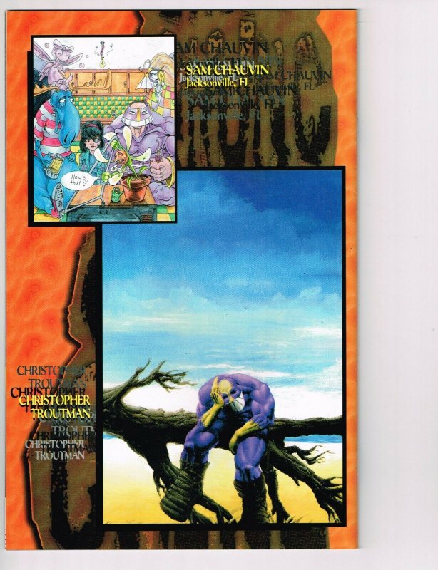 The Maxx #34 (1993) - 9.4 NM *Low Print/High Grade* 