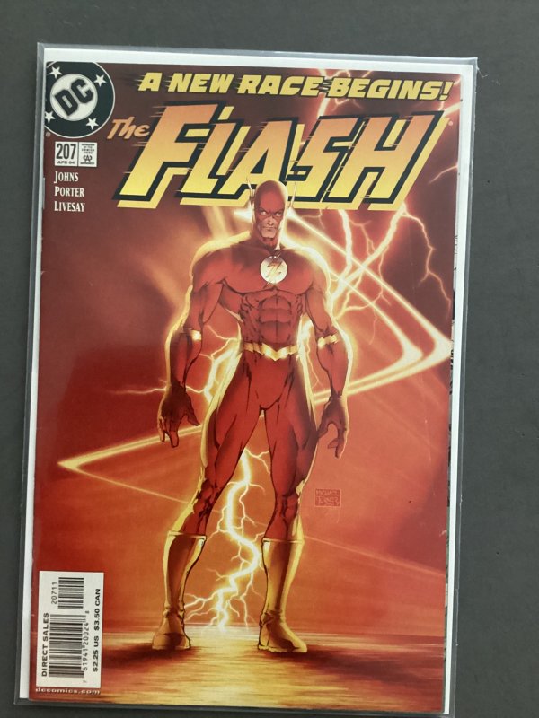 The Flash #207 (2004)