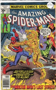 The Amazing Spider-Man #173 (1977) Spider-Man