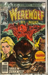 Werewolf by Night #40 (1976)