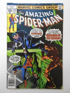The Amazing Spider-Man #175 (1977) W/ The Punisher! Solid Fine- Condition!