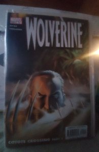 Wolverine #9 Direct Edition (2004)