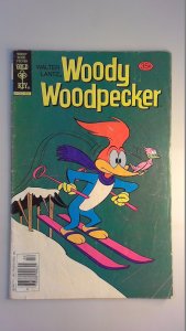 Walter Lantz Woody Woodpecker #175 (1979) GD
