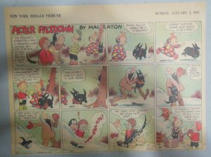 Peter Piltdown Sunday Page by Mal Eaton from 1/2/1944  Size: 11 x 15 inches