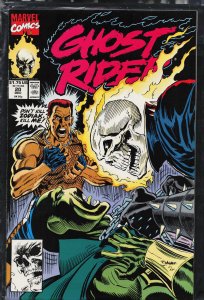 Ghost Rider #20 (1991) Ghost Rider