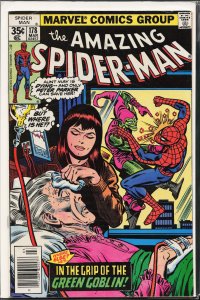 The Amazing Spider-Man #178 (1978) Spider-Man