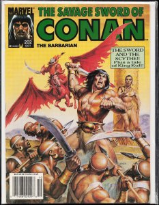 The Savage Sword of Conan #202 (1992) Conan