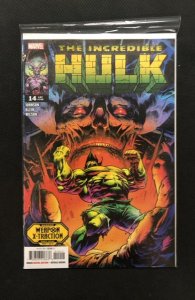 Incredible Hulk  #14 (2024)
