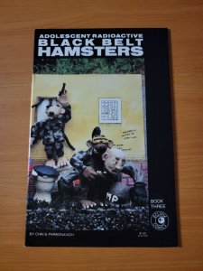 Adolescent Radioactive Black Belt Hamsters #3 ~ NEAR MINT NM ~ 1986 Eclipse