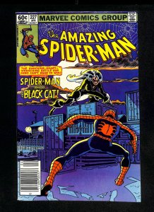Amazing Spider-Man #227 Newsstand Variant Black Cat!