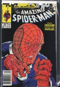 The Amazing Spider-Man #307 (1988) Spider-Man
