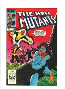 New Mutants #13 VF/NM 9.0 Marvel Comics 1984 Copper Age Kitty Pyrde, 1st Cyper