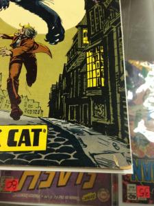 The Unexpected 144 VG/FN Nick Cardy Black Cat Cover  (Feb. 1973)