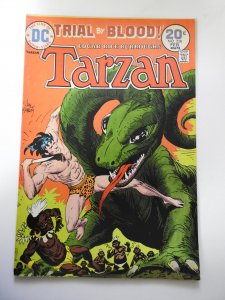 Edgar Rice Burroughs' Tarzan #228 (1974)