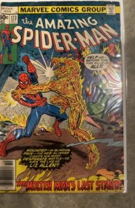 The Amazing Spider-Man #173 (1977) Spider-Man 