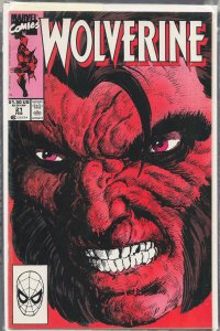 Wolverine #21 (1990) Wolverine