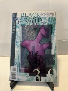 Black Orchid DC Vertigo No. 3 November 1993 Comic Book Vintage