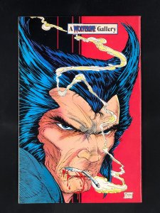 Wolverine #6 (1989) First Artwork on Wolverine by Todd McFarlane in a Pin-Up