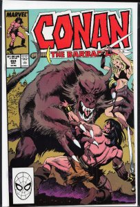 Conan the Barbarian #224 (1989) Conan