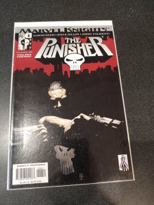THE PUNISHER #6 MODERN NM