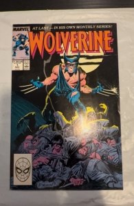 Wolverine #1 (1988)1st app of Patch needs a little cleaning back