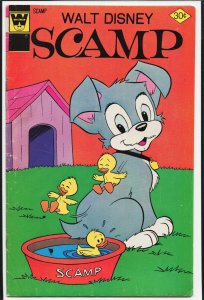 Scamp #31 (1976)