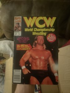 WCW: World Championship Wrestling #1 (1992)