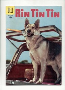 Rin Tin Tin LOT 11  13  14  16  SALE 