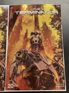 TERMINATOR #1 CVR L 1:10 GALMON VAR + N 1:15 FOIL VIRGIN DYNAMITE 2024 PROSHIPS