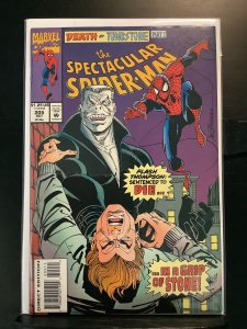 The Spectacular Spider-Man #205 (1993)