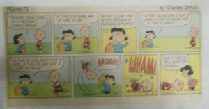 (49) Peanuts Sunday Pages by Charles Schulz from 1980 Size: ~7.5 x 14 inches  