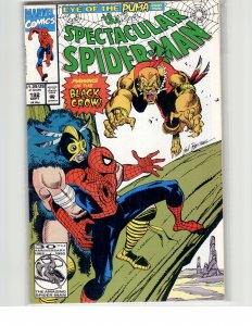 The Spectacular Spider-Man #192 (1992) Spider-Man