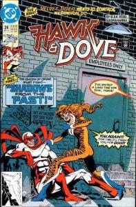 Hawk and Dove (1989 series)  #24, VF (Stock photo)