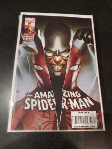 The Amazing Spider-Man #608 (2009)