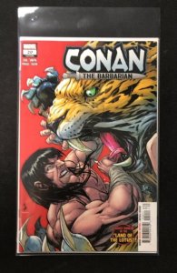 Conan the Barbarian #20 (2021)