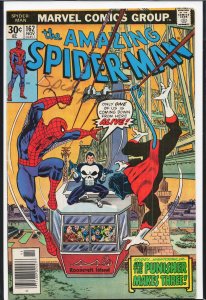 The Amazing Spider-Man #162 (1976) Spider-Man [Key Issue]