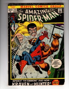 The Amazing Spider-Man #111 (1972)   / MC#46