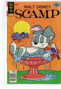 Scamp #37 (1977)