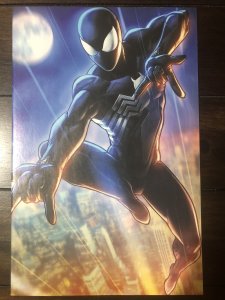 Symbiote Spider-Man #2