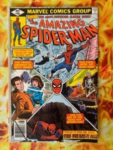 The Amazing Spider-Man #195 (1979)