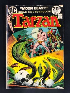 Edgar Rice Burroughs' Tarzan #225 (1973)