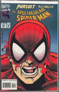 The Spectacular Spider-Man #211 (1994) Spider-Man