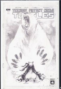 Teenage Mutant Ninja Turtles #66 Cover B (2017)