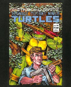 Teenage Mutant Ninja Turtles #12